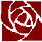 abstract rose